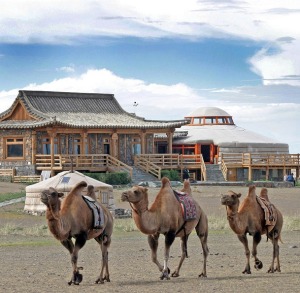 Three Camels-MONGOLIA-summer-travel-camping-slide-show_three-camels-lodge-outside_w609
